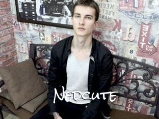 Nedcute