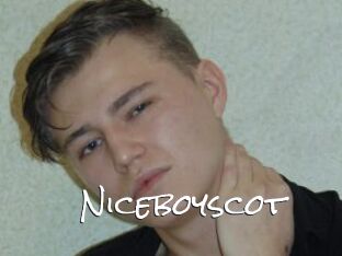 Niceboyscot