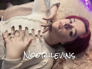 Noorilevins