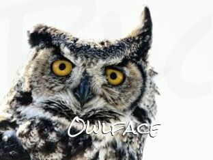 Owlface