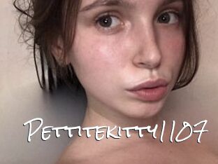 Pettitekitty1107