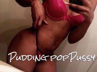 Pudding_popPussy