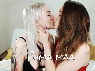 Puma_maa