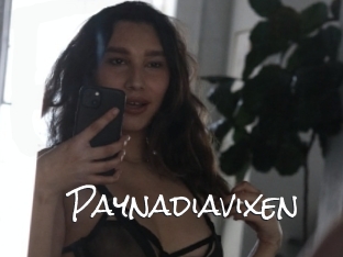 Paynadiavixen