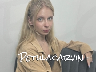 Petulacarvin