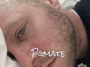 Pgmate