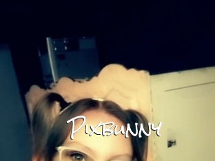 Pixbunny