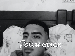 Pollbigdick