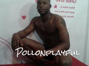 Pollonplayful