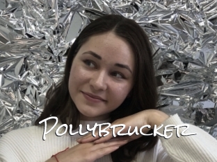 Pollybrucker