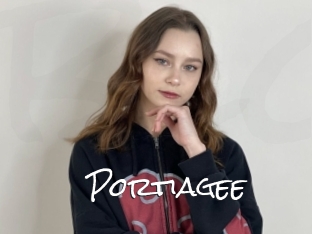 Portiagee