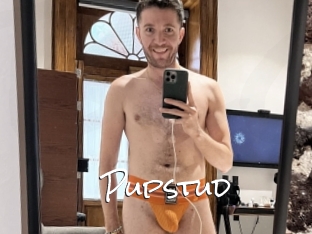 Pupstud