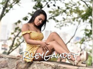 RileyGaudet