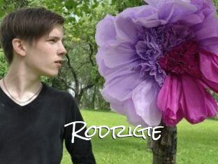 Rodrigie
