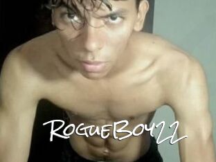 RogueBoy22