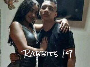 Rabbits_19