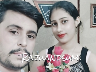 Rajuandsumi