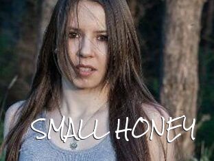 SMALL_HONEY