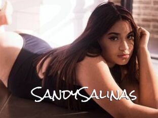 SandySalinas
