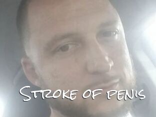 Stroke_of_penis