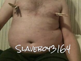 Slaveboy3164