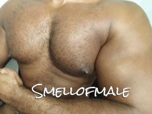 smellofmale Blow Cum
