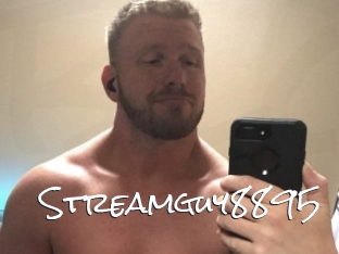 Streamguy8895
