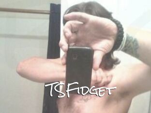 TSFidget