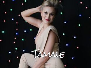 Tamale