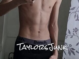 TaylorsJunk