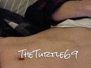 TheTurtle69