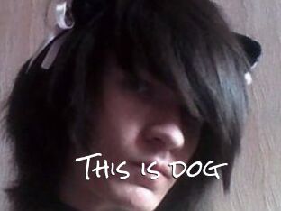 This_is_dog