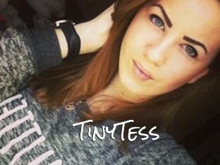TinyTess