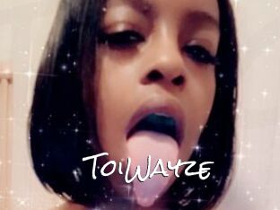 ToiWayze