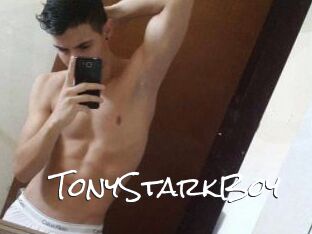 TonyStarkBoy