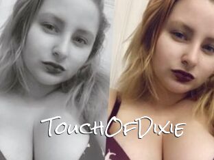 TouchOfDixie