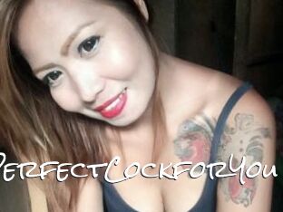 TsPerfectCockforYou