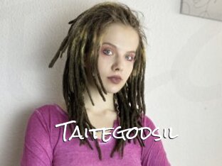 Taitegodsil