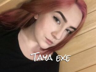 Taya_exe