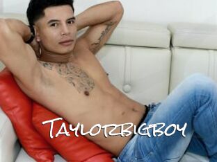 Taylorbigboy