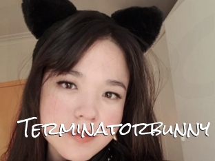 Terminatorbunny