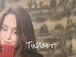 Tinamit