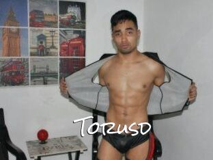Torusd