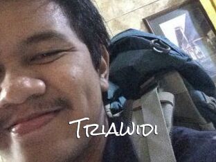 Triawidi