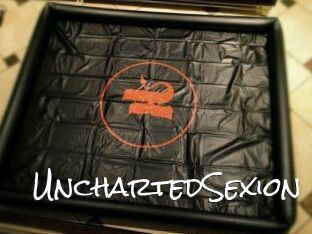 UnchartedSexion