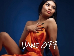 Vane_077
