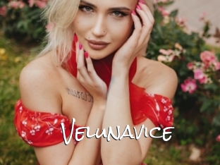 velunavice Blow Cum