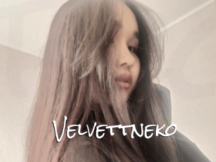 Velvettneko
