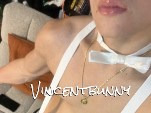 Vincentbunny