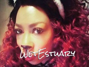 WetEstuary